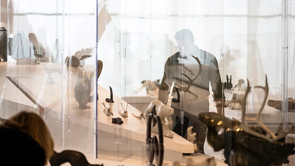 View from the exhibition Ilippunga– Inuit Art. The Brousseau Collection // Photo : MNBAQ, Emmanuelle Letendre-Lévesque
